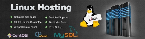 Linux hosting 
