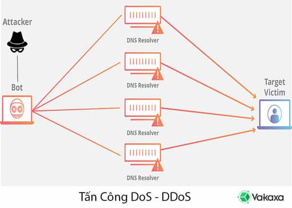 Các kiểu tấn công từ chối dịch vụ Dos và DDos hiện nay