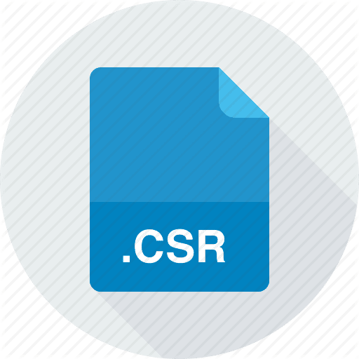 CSR là gì? CSR SSL là gì?
