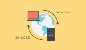 DNS Là Gì? Tổng Hợp Kiến Thức A-Z Về DNS - BKNS