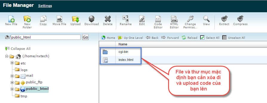 Tại mục Files, vào File Manager để quản lý file, up website.