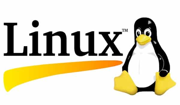 Hosting Linux là dịch vụ lưu trữ website trên server chạy hệ điều hành Linux có kết nối internet