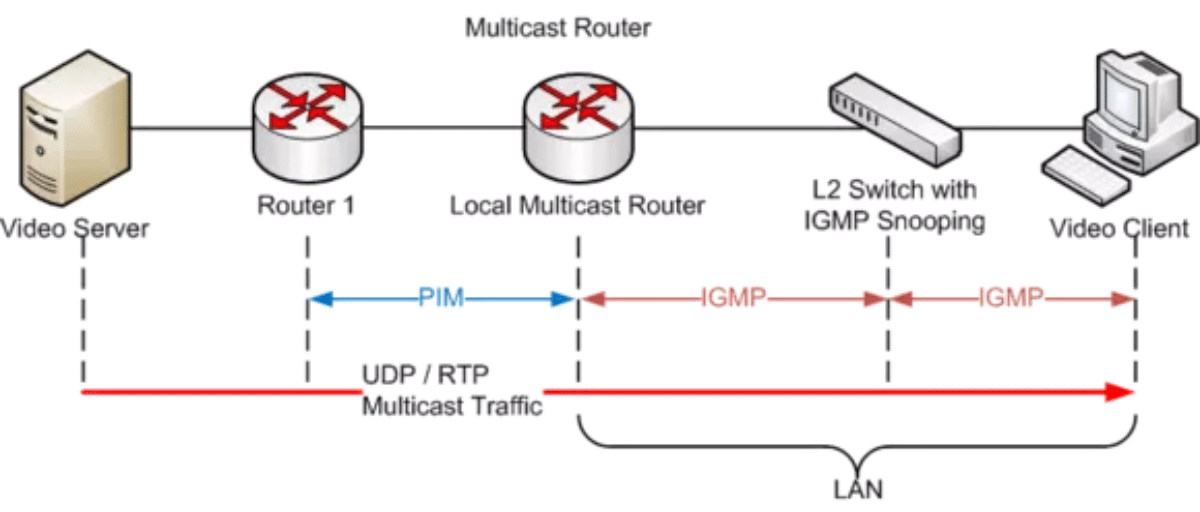 giao thức igmp là gì 