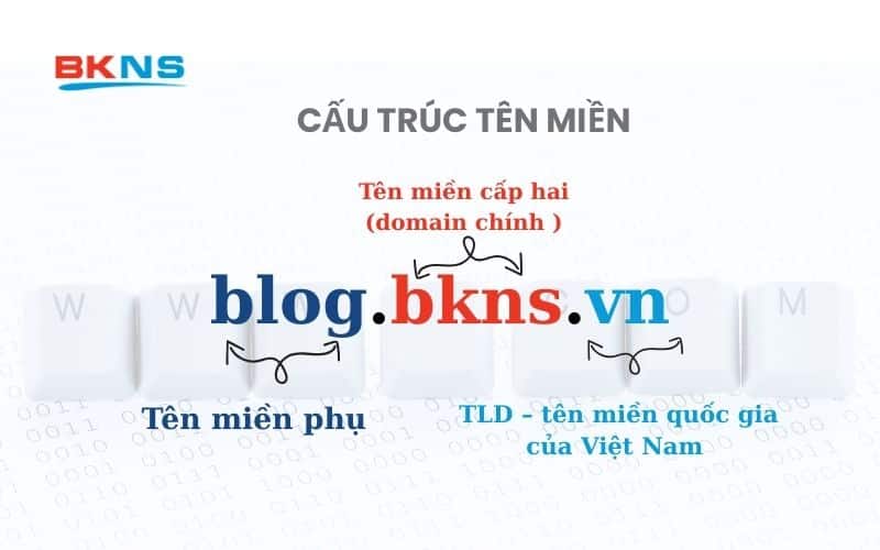 cau-truc-ten-mien 