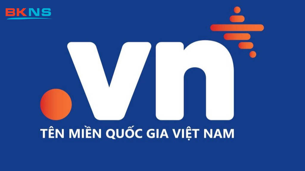 Vòng đời của tên miền quốc tế và Việt Nam